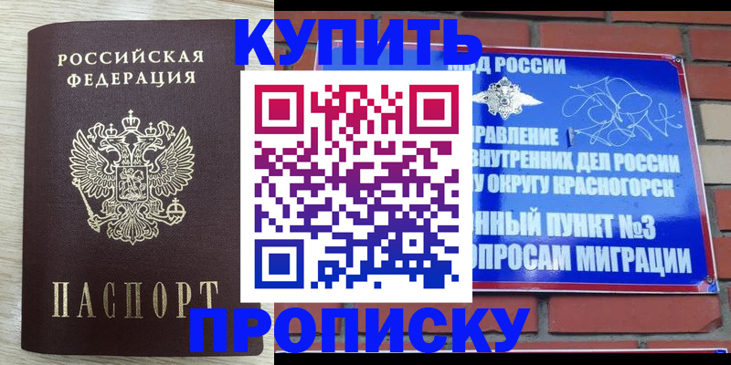 прописка гарантия в Краснокамске